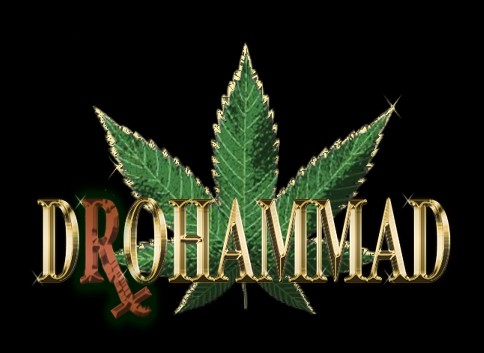 Logo Drohammad Seeds