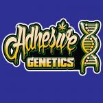 Logo Adhesive Genetics