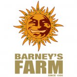 Logo Barneys Farm