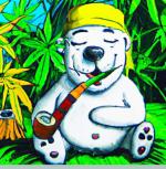 Logo BiPolarBear420