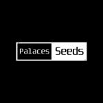 Logo Palaces Seeds