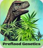 Logo PreFloodGenetics