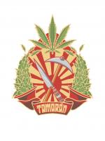 Logo Tamaran Vibration