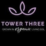 Logo Tower Three