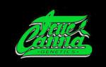 Logo True Canna Genetics