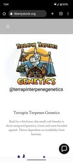 Logo Terrapin Terpenes Genetics