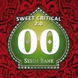 00 Seeds Bank Sweet Critical 2.0