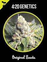 420 Genetics CBD Blueberry