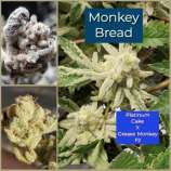 A.B. Seed Company Monkey Bread