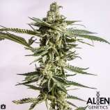 Alien Genetics Diamond Sauce