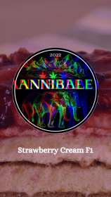 Annibale Genetics Strawberry Cream