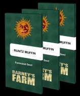 Barneys Farm Runtz Muffin