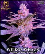 Best Coast Genetics Wilkos Whack