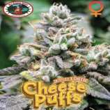 Big Buddha Seeds Cheese Puffs