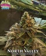 Boneyard Seeds Norcal North Valley