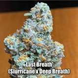 Bulletproof Genetics Last Breath