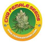 CH9 Female Seeds Commercial