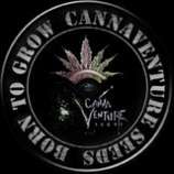 CannaVenture Seeds Electric Larry Land