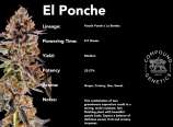 Compound Genetics El Ponche