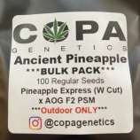 Copa Genetics Ancient Pineapple