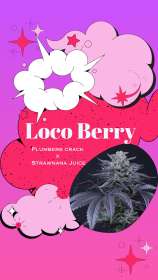 Crockett Family Farms Loco Berry