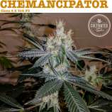 Cultivated Choice Genetics Chemancipator