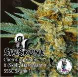 Dominion Seed Company Sis Skunk