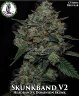 Dominion Seed Company Skunkband V2