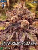 Dr. Blaze Forbidden Zkittlez