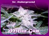 Dr. Underground Melon Gum
