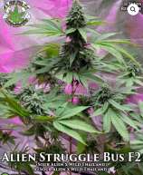 Eazy Daze Cultivators Alien Struggle Bus