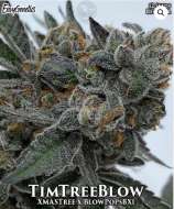 Envy Genetics TimTreeBlow