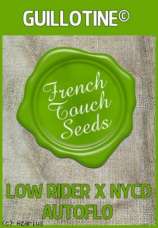 French Touch Seeds Guillotine