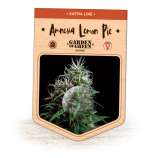 Garden of Green Amnesia Lemon Pie