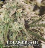 Gas Reaper Genetics Polar Breath