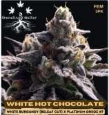 Genetix Matter White Hot Chocolate