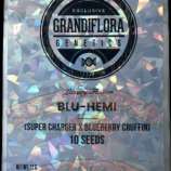 Grandiflora Genetics Blu-Hemi