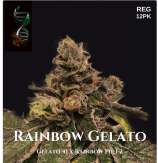 GreenFire Genetics Rainbow Gelato