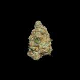 Growers Choice Apple Fritter Autoflower