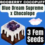 Happy Bird Seeds Boo Berry Cocopuff
