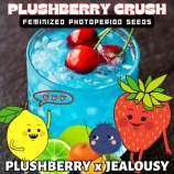 Happy Bird Seeds Plushberry Crush