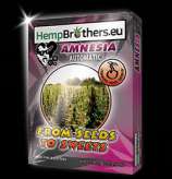 Hempbrothers Amnesia Automatic