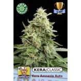 Kera Seeds Amnesia Auto