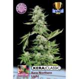 Kera Seeds Northern Light