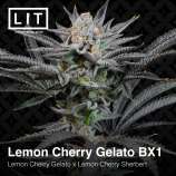 Lit Farms Lemon Cherry Gelato BX1