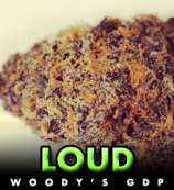 Loud Seeds Woody's GDP