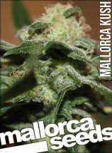 Mallorca Seeds Mallorca Kush