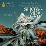 Reberth Genetics Show-Me Kush