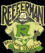 Reefermans Seeds Blackseed