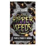 Ripper Seeds Purple Punch x Animal Cookies